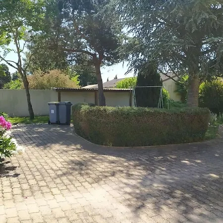 T3 